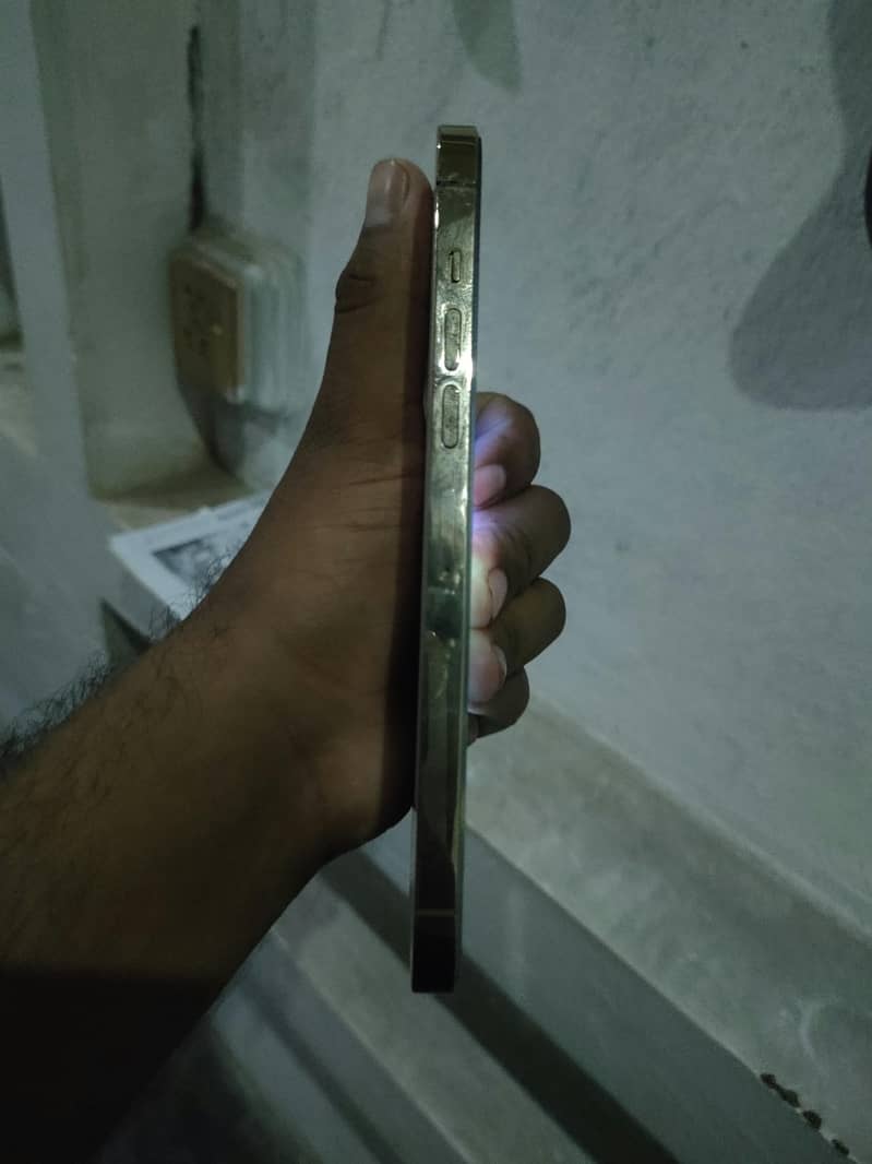 Apple iPhone 13 Pro Max 2
