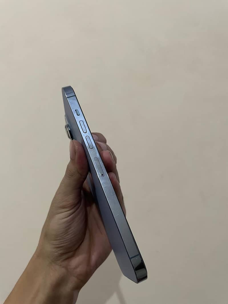 Apple iPhone 13 Pro Max 1