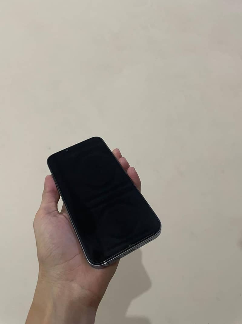 Apple iPhone 13 Pro Max 6