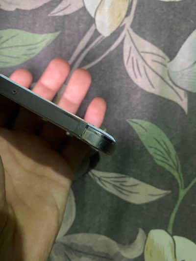 Apple iPhone 13 Pro