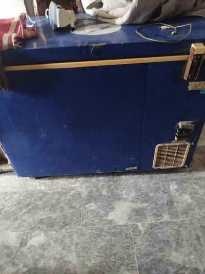 d freezers  Pepsi