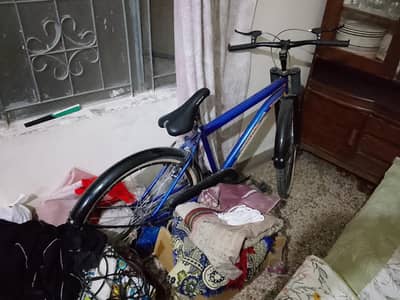 comfortable bicycle