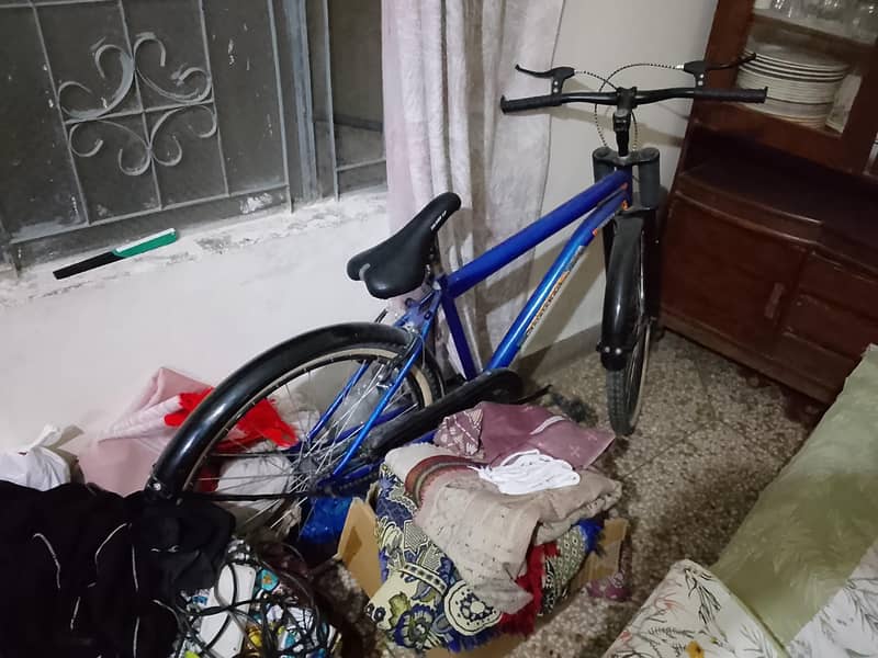 comfortable bicycle 0