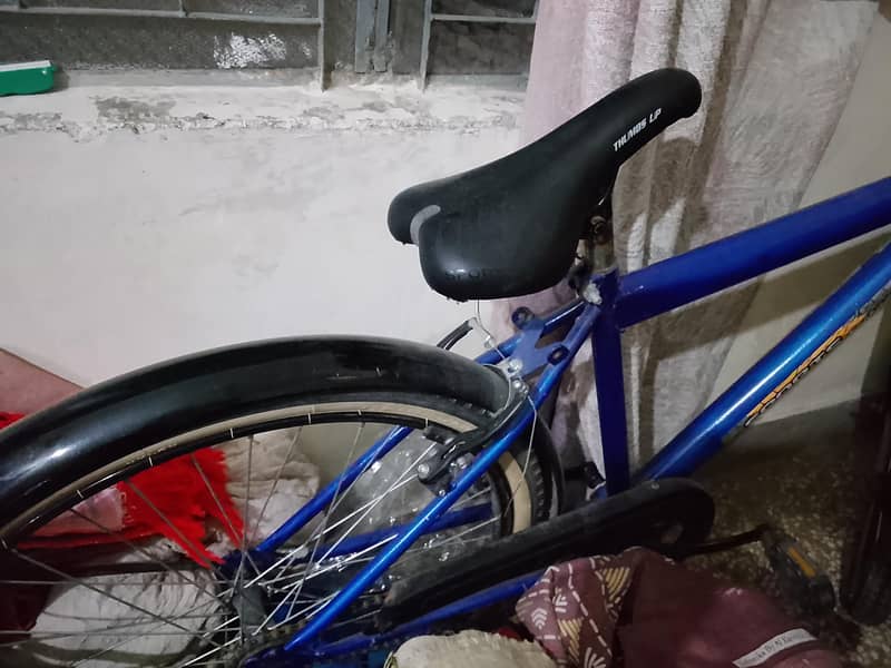 comfortable bicycle 1
