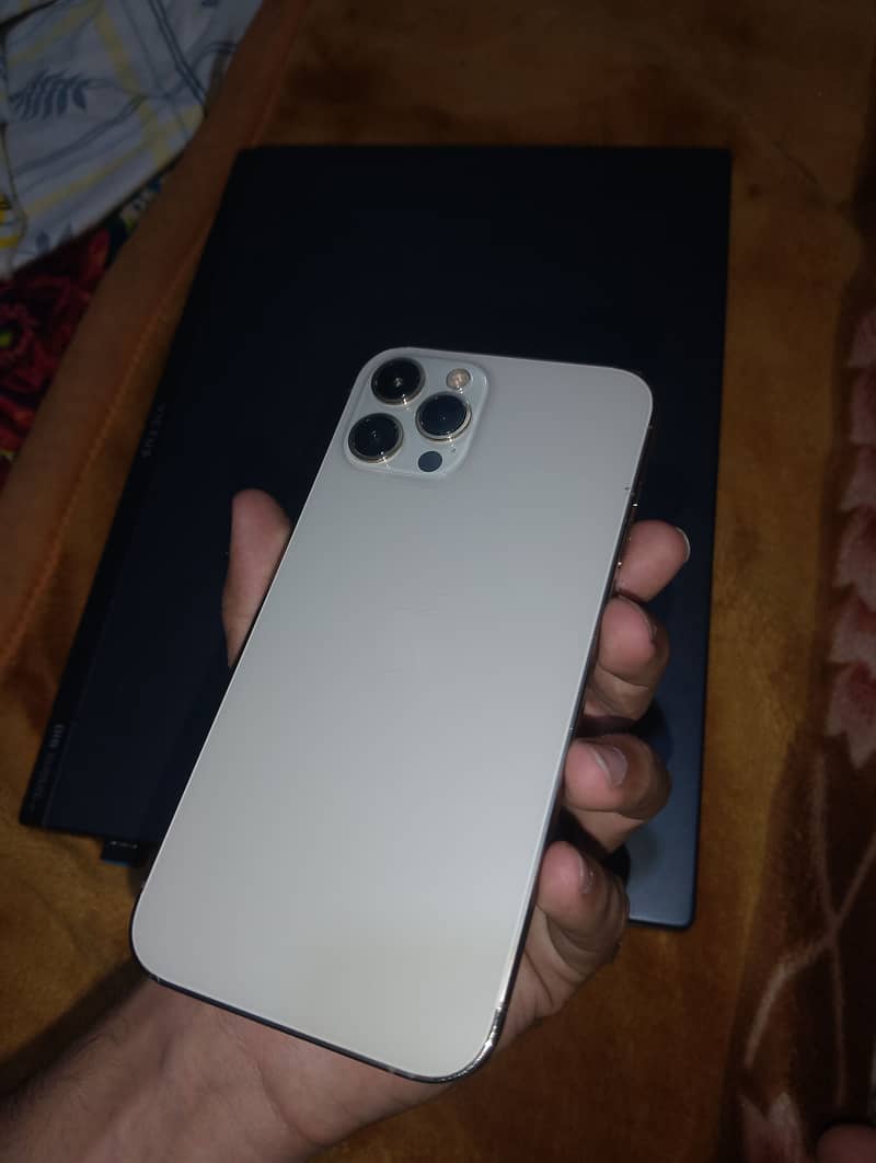 Apple iPhone 12 Pro Max 1