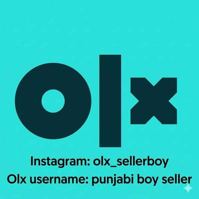 Punjabi boy seller