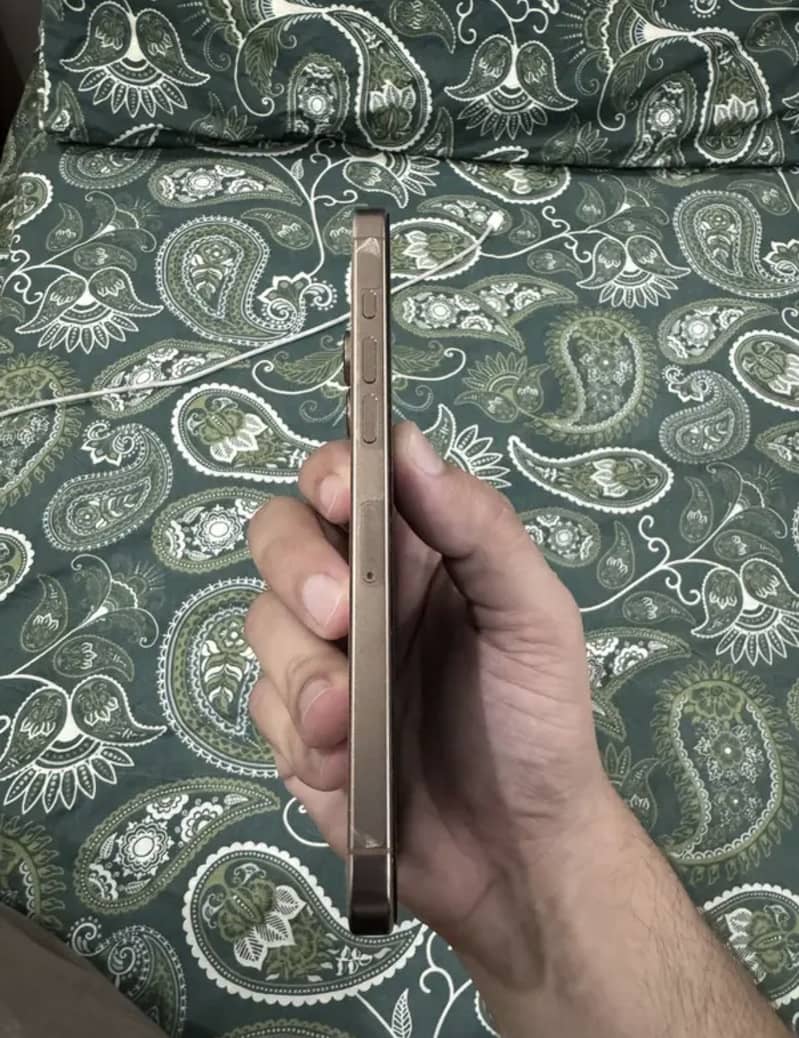 Apple iPhone 16 Pro Max 1