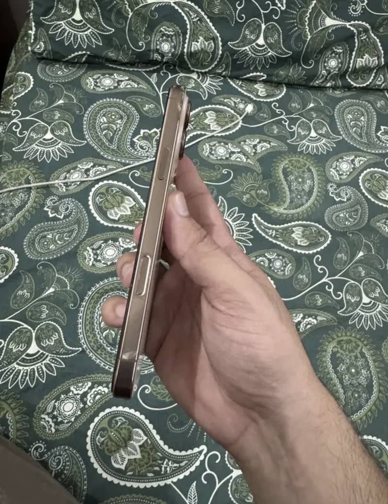 Apple iPhone 16 Pro Max 2