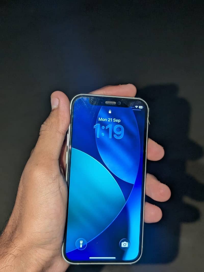 Apple iPhone 12 mini 1
