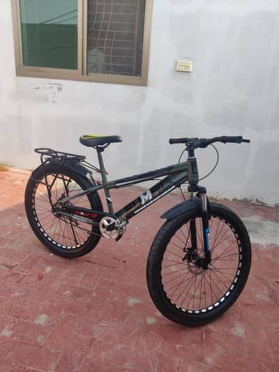 Mountain bike/ bicycle