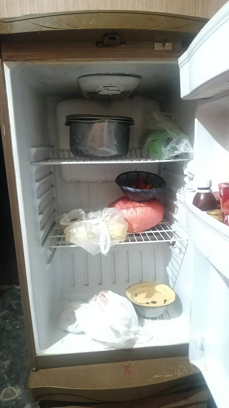 waves refrigerator 1