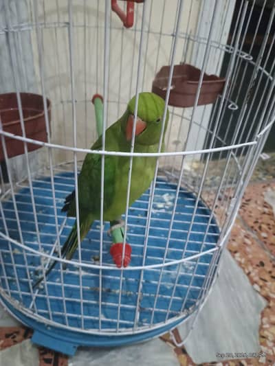 For sale