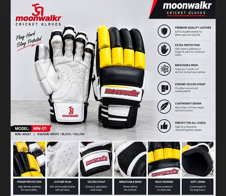 Cricket kit 2