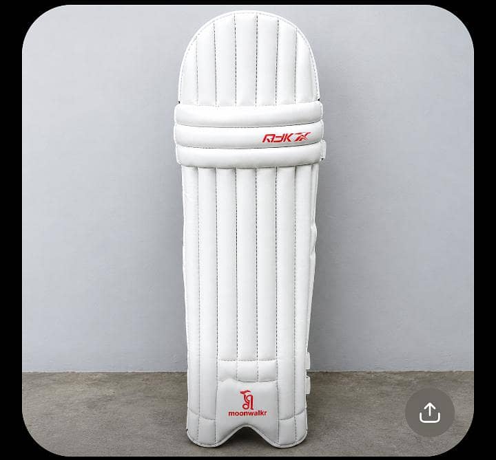 Cricket kit 4