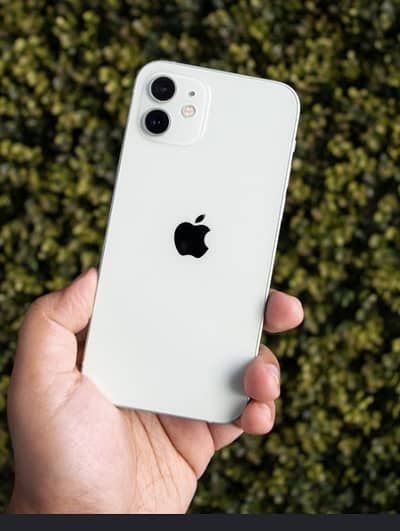 Apple iPhone 12