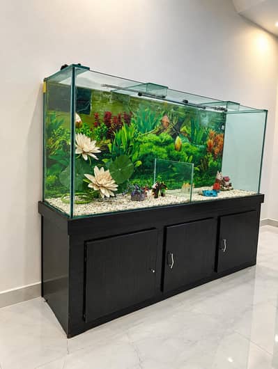 Aquarium for sake