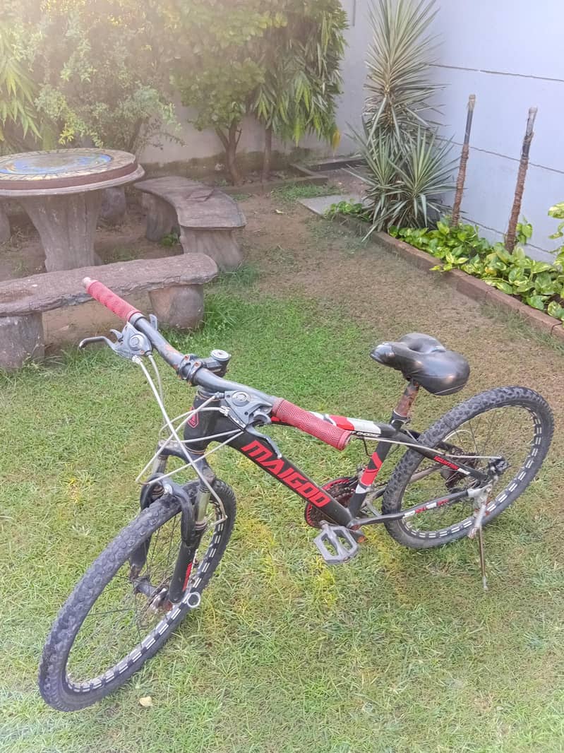 mountain cycle 2