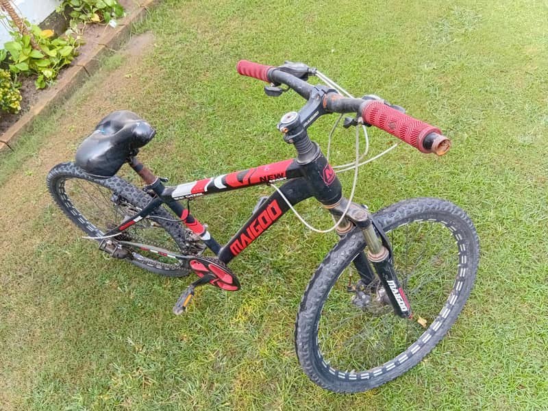 mountain cycle 3