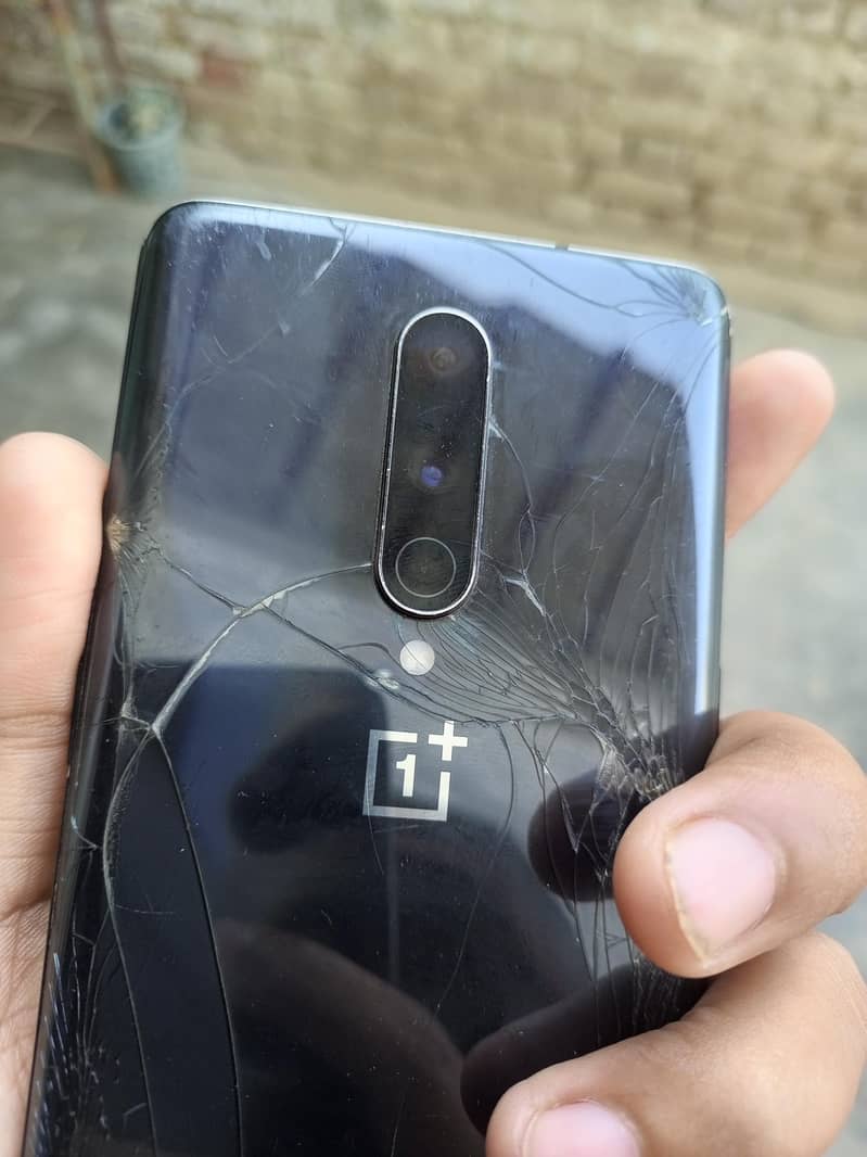 One plus 8 singal sim 1