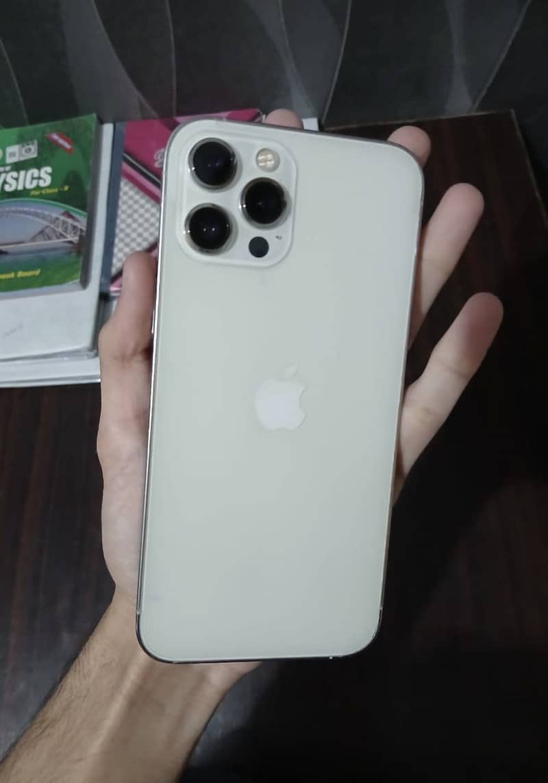 Apple iPhone 12 Pro Max 0