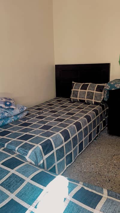 10/10 condition single bed with molty foam