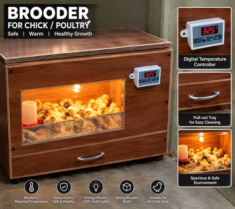Automatic Chick Brooder 2×2.5×1.5 ft | Digital Temperature Control 1
