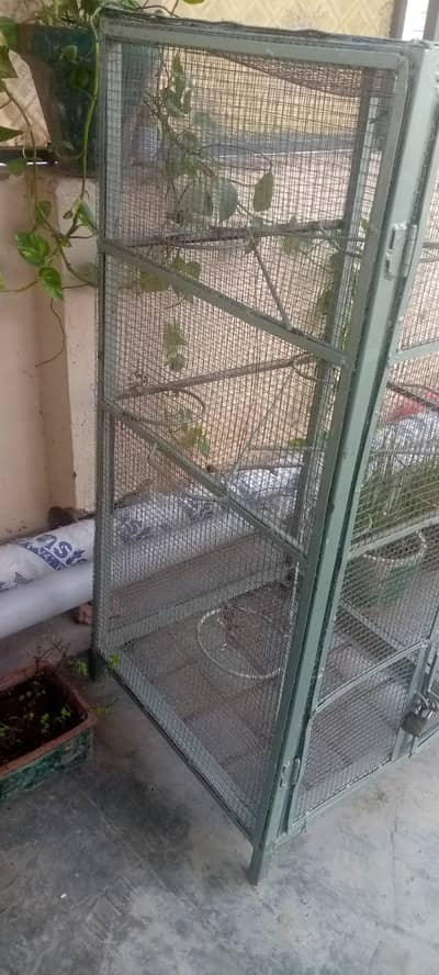 3 cages for birds