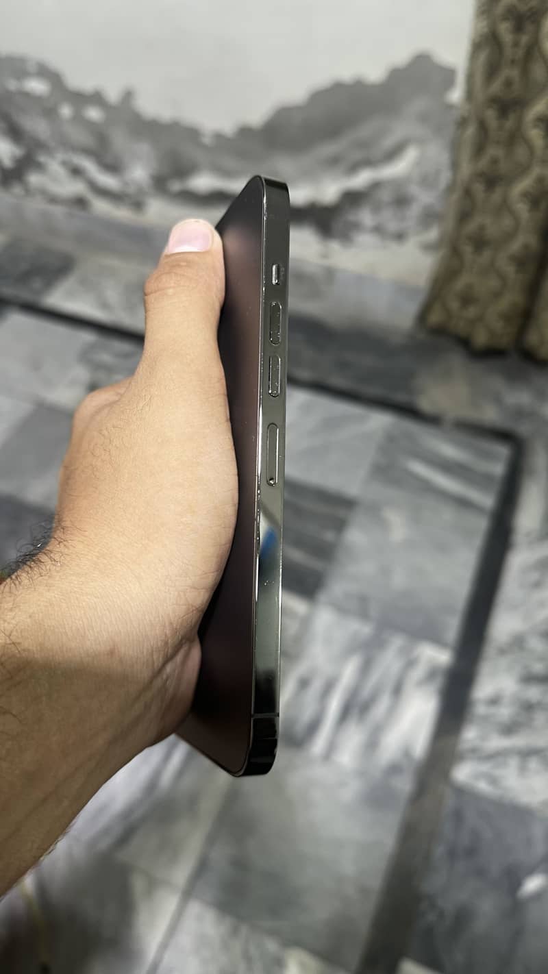 Apple iPhone 13 Pro Max 1
