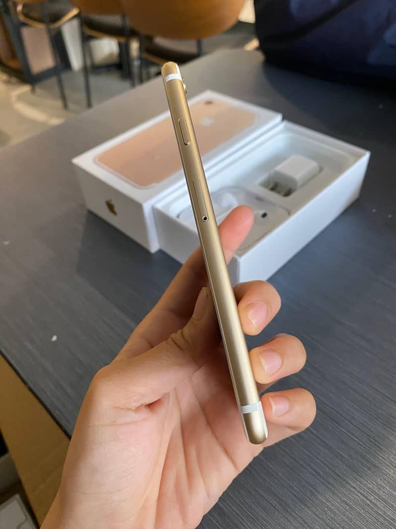 Apple iPhone 6S Plus 1