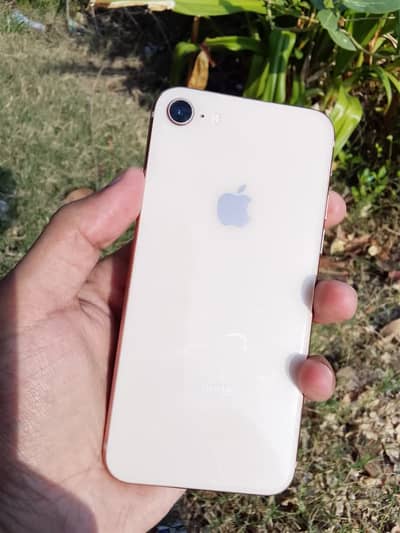 Apple iPhone 8 Factory Unlock 10/10 All Sim Working