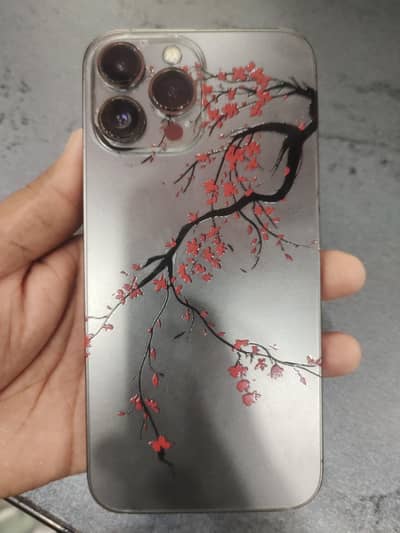 Apple iPhone 13 Pro Max