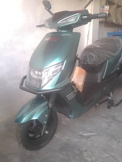 Revo Scottie jambo size