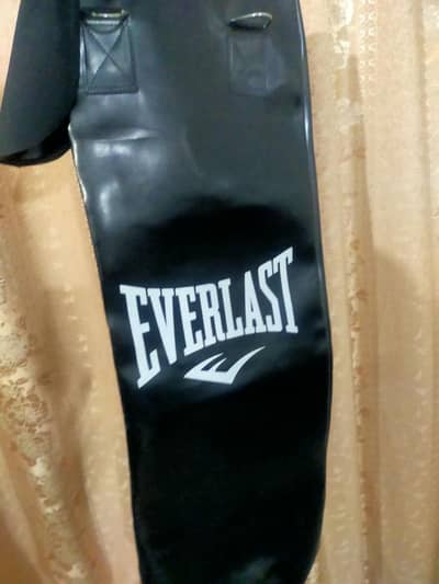Boxing bag everlast