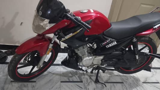 YBR 125