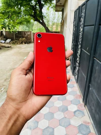 iPhone XR 64GB Non pta