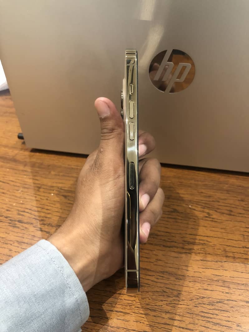Apple iPhone 12 Pro Max 1