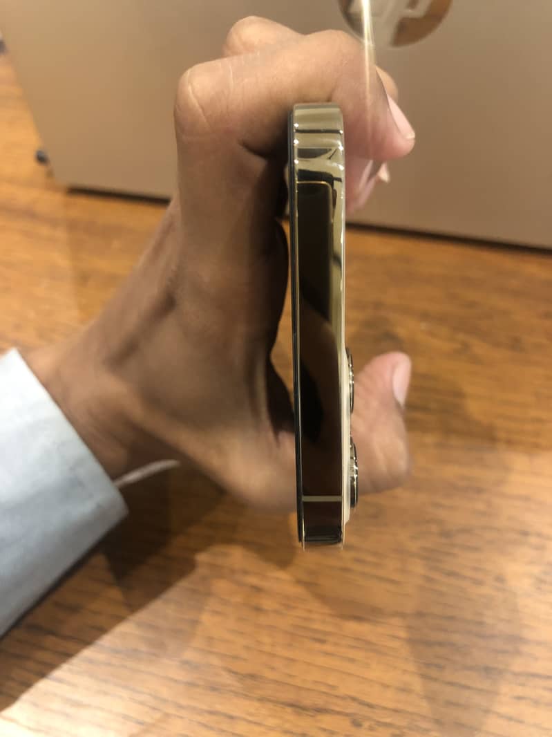 Apple iPhone 12 Pro Max 2