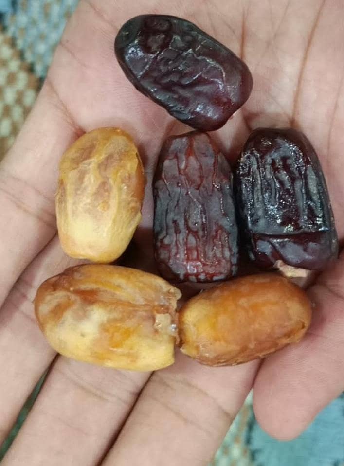 اعلی کوالٹی کی کجھور دستیاب ہیں 2