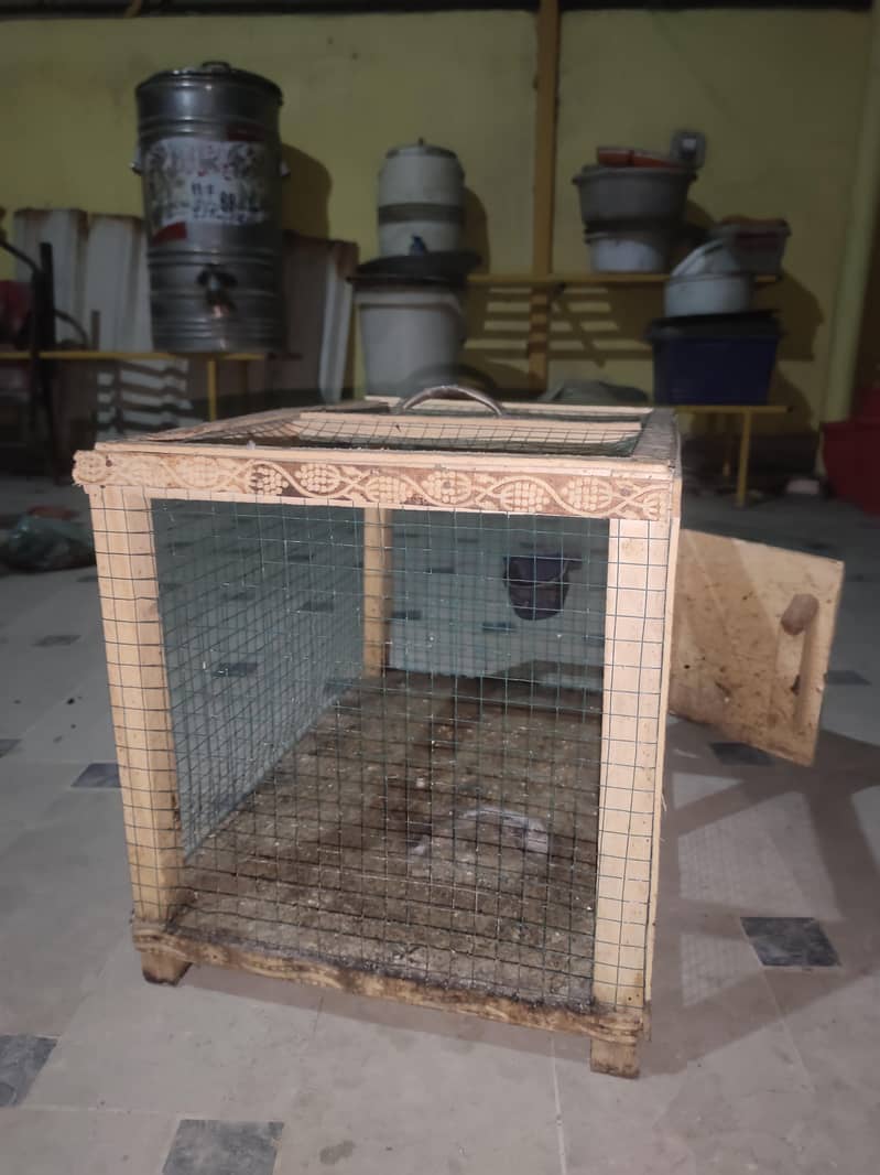 Mini Cage 1