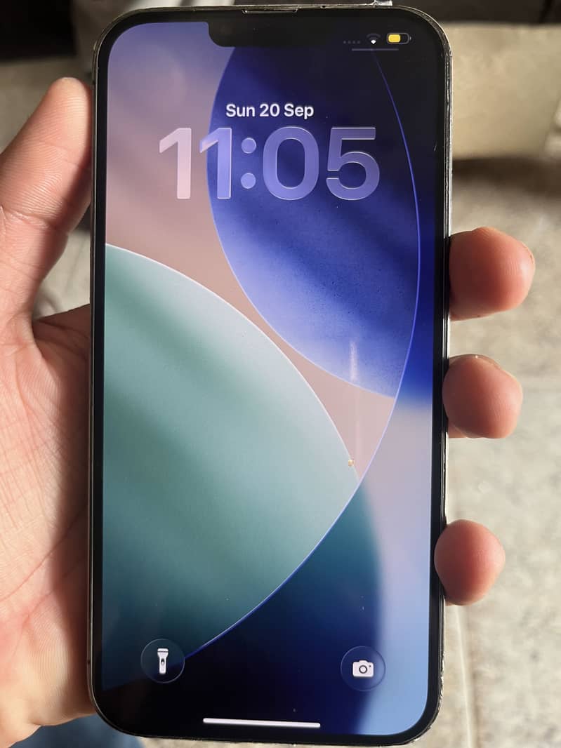 Apple iPhone 13 Pro Max 2
