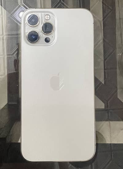Apple iPhone 12 Pro Max