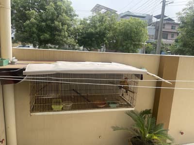 Cage size 4 by 1.5 by 1.5