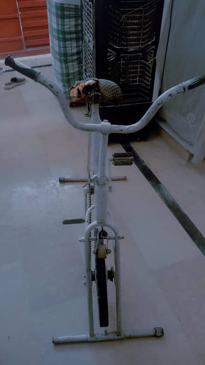 Indoor exercise cycle