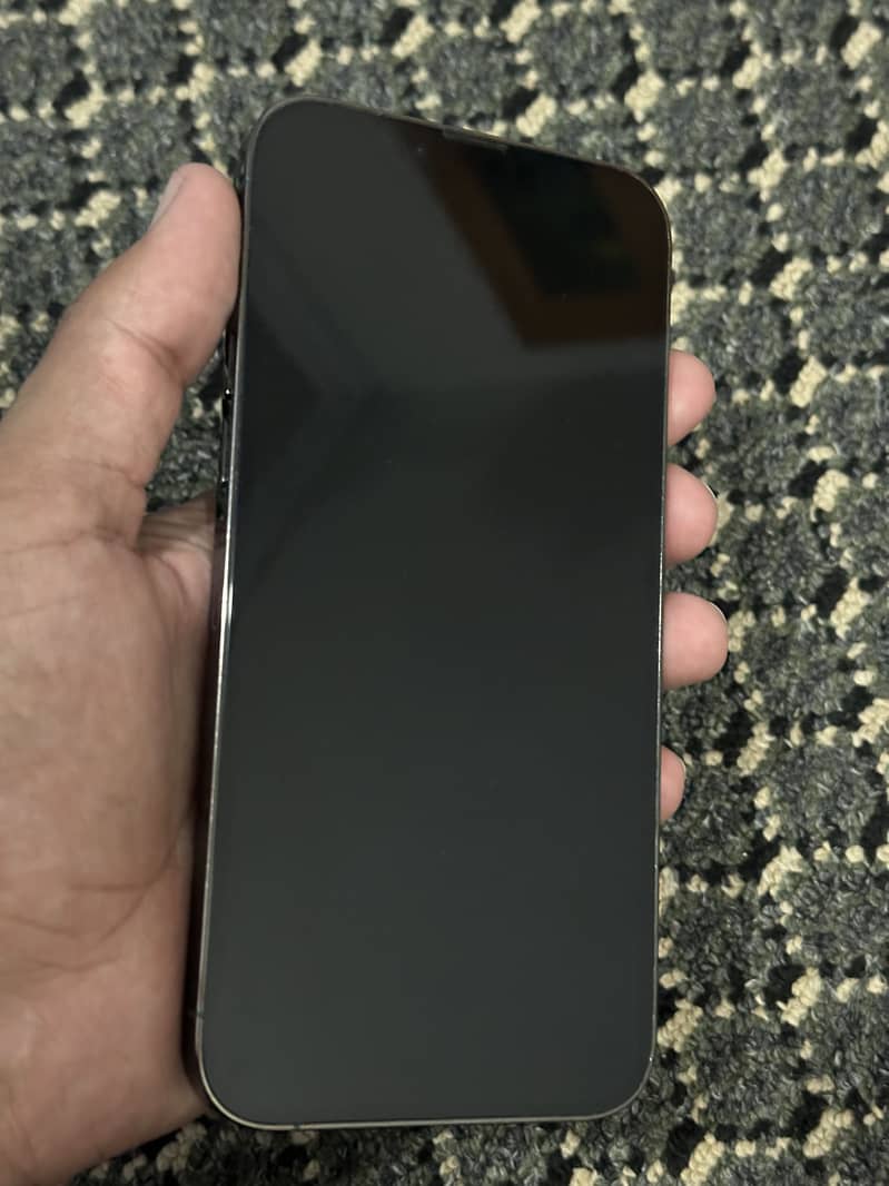 Apple iPhone 13 Pro Max 2