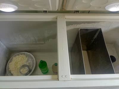 D freezer 4 months used