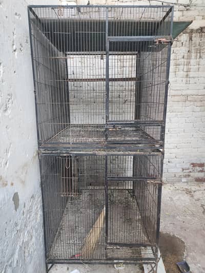 iron cage