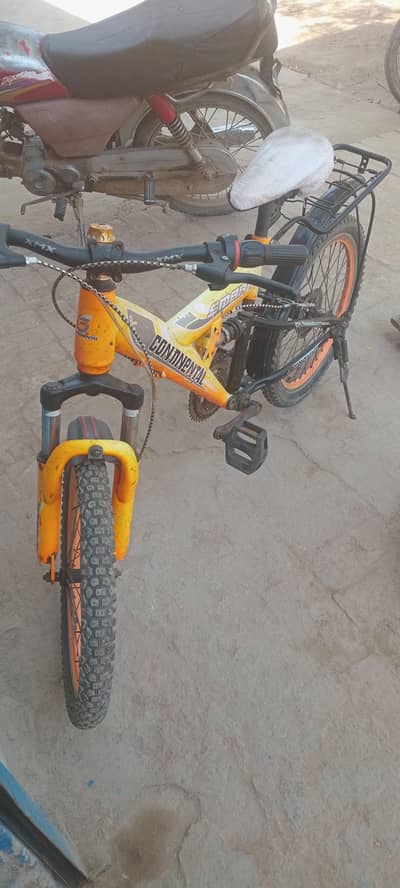 mountain bike