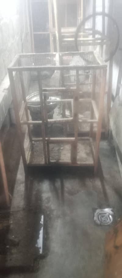 cages for birds and hens
