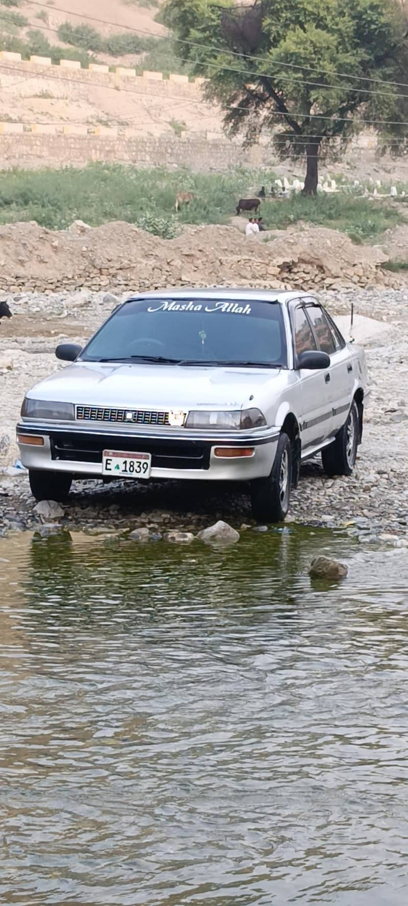 Corolla 88 0