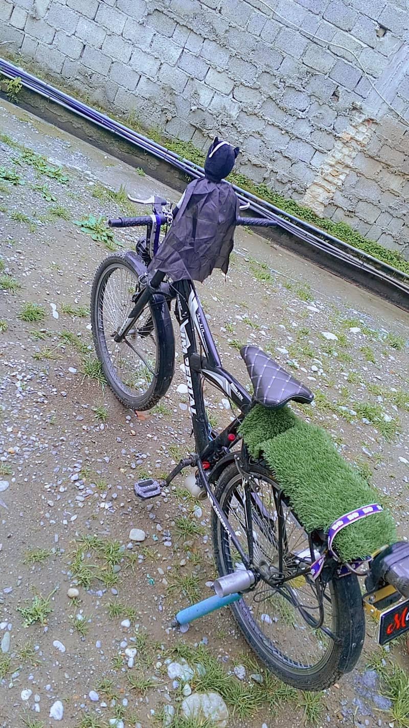 bicycle 0